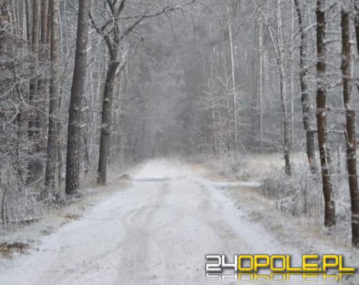 Możliwe śnieżyce? Co mówią prognozy?