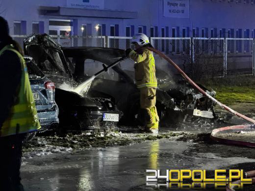 Pożar czterech pojazdów na ulicy Wspólnej. Na miejscu sześć zastępów