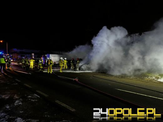 Pożar czterech pojazdów na ulicy Wspólnej. Na miejscu sześć zastępów