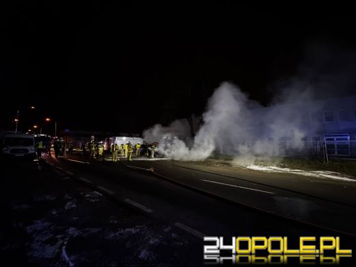 Pożar czterech pojazdów na ulicy Wspólnej. Na miejscu sześć zastępów