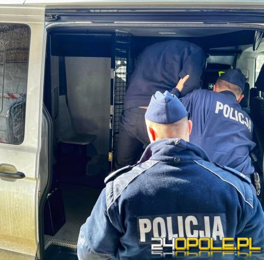 33-letni obywatel Gruzji zatrzymany za serię kradzieży