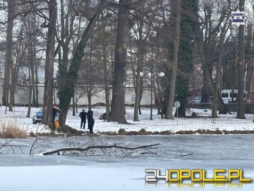 Niebezpieczna zabawa na zamarzniętym stawie - policyjna interwencja w Parku Renardów