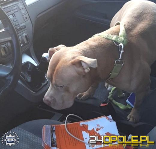 Nie dojechał przez złe paliwo. Policja zatrzymała poszukiwanego na A4