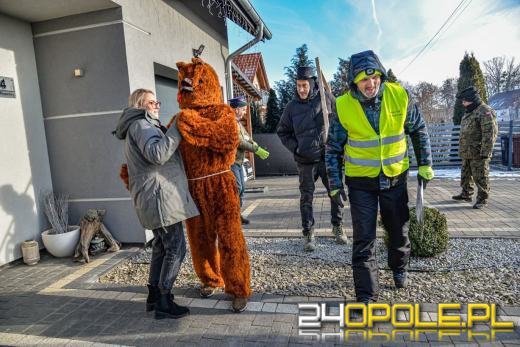 Wodzenie Niedźwiedzia w gminie Dąbrowa. Noworoczna tradycja w Niewodnikach