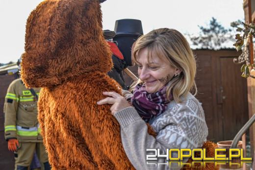 Wodzenie Niedźwiedzia w gminie Dąbrowa. Noworoczna tradycja w Niewodnikach