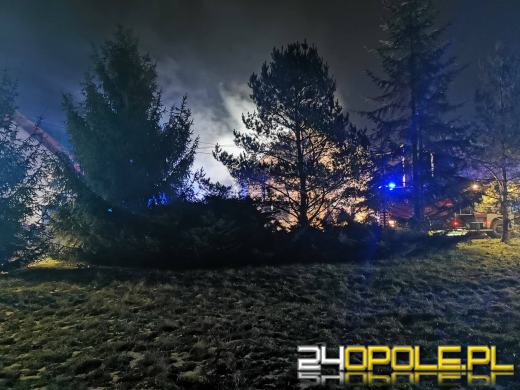 Tragiczny pożar w Zielęcicach. Nie żyje starszy mężczyzna
