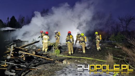 Pożar domku letniskowego w Michalicach