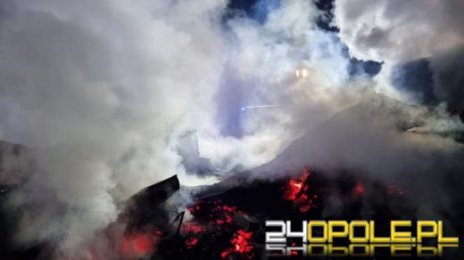 Pożar domku letniskowego w Michalicach