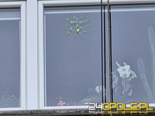 Z dachu Uniwersyteckiego Szpitala w Opolu zjechali superbohaterowie