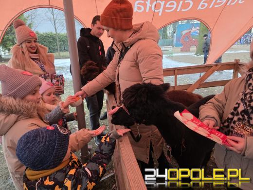 Trwa 34. Finał WOŚP. Od rana wiele wydarzeń w Opolu