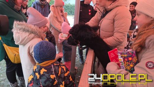 Trwa 34. Finał WOŚP. Od rana wiele wydarzeń w Opolu