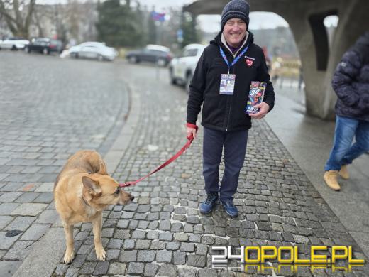 Trwa 34. Finał WOŚP. Od rana wiele wydarzeń w Opolu
