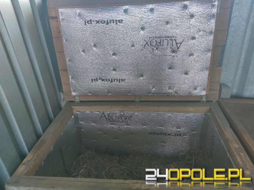 Inspekcja potwierdza: zwierzęta w schroniskach w regionie pod dobrą opieką