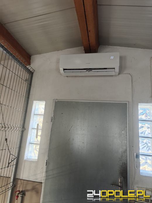 Inspekcja potwierdza: zwierzęta w schroniskach w regionie pod dobrą opieką