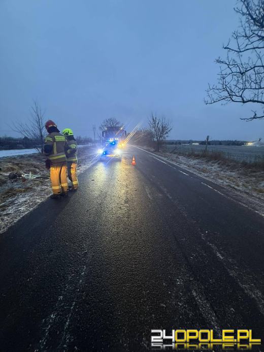Rowerzystka potrącona na drodze między Bielicami a Malerzowicami Wielkimi