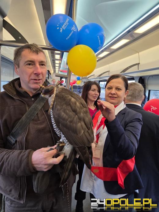 Niemal 75 tys. kilometrów w rok. "Malinka" świętuje pierwsze urodziny