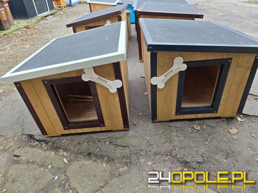 Ogólnopolska akcja Dody dotarła do Opola