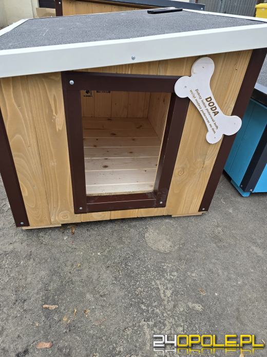 Ogólnopolska akcja Dody dotarła do Opola