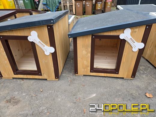 Ogólnopolska akcja Dody dotarła do Opola