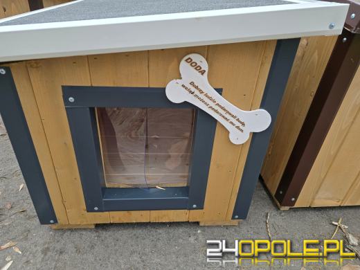 Ogólnopolska akcja Dody dotarła do Opola