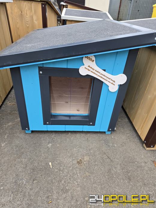 Ogólnopolska akcja Dody dotarła do Opola