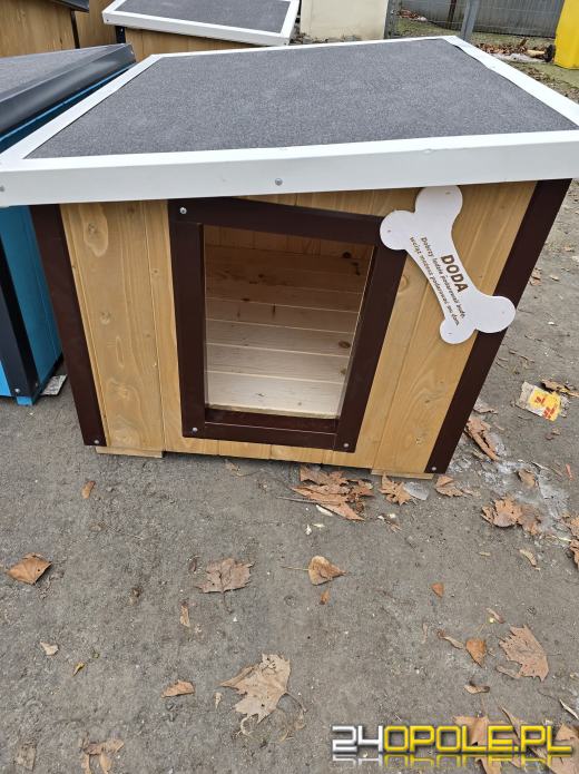 Ogólnopolska akcja Dody dotarła do Opola