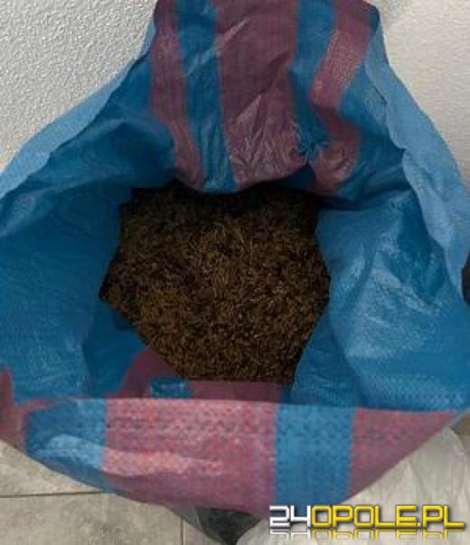 Uderzenie w nielegalny handel