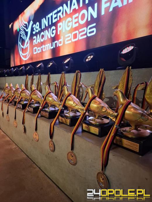 Skrzydła z Kędzierzyna-Koźla podbiły świat