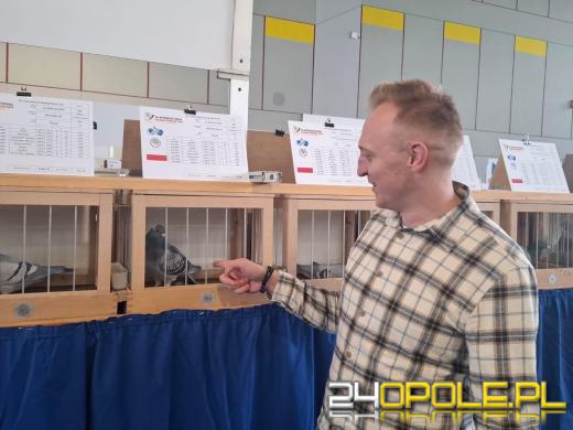 Skrzydła z Kędzierzyna-Koźla podbiły świat