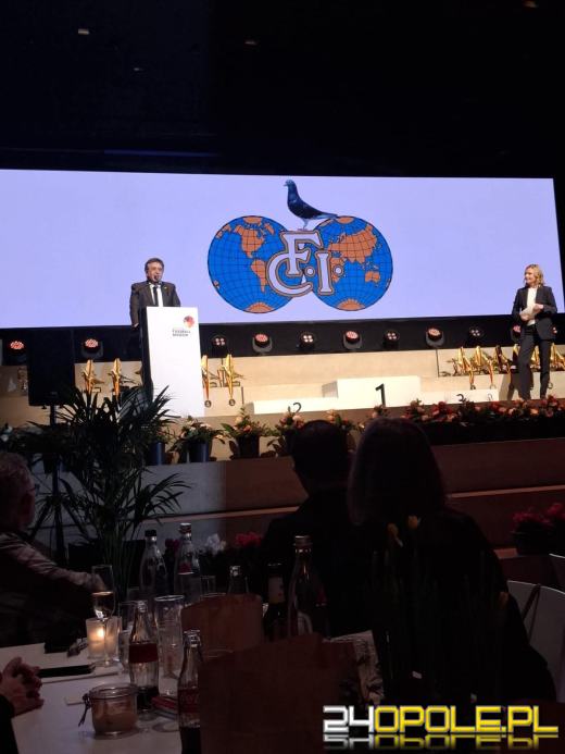 Skrzydła z Kędzierzyna-Koźla podbiły świat