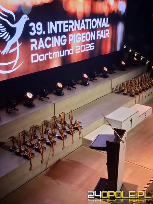 Skrzydła z Kędzierzyna-Koźla podbiły świat