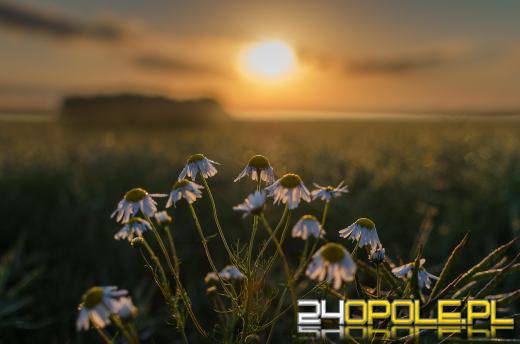 Koniec La Nina. Czy czeka nas nagłe przejście do upalnego lata?