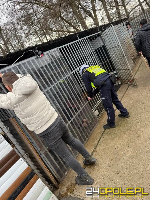 Policjanci z sercem dla zwierząt