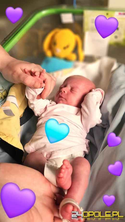 Walentynki na oddziale neonatologicznym. Szpital pokazał rodzinne chwile