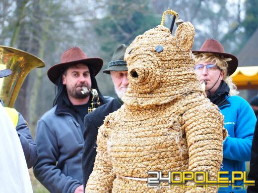 Wodzenie Bera w Muzeum Wsi Opolskiej. Tradycyjny mięsopust przyciągnął uczestników