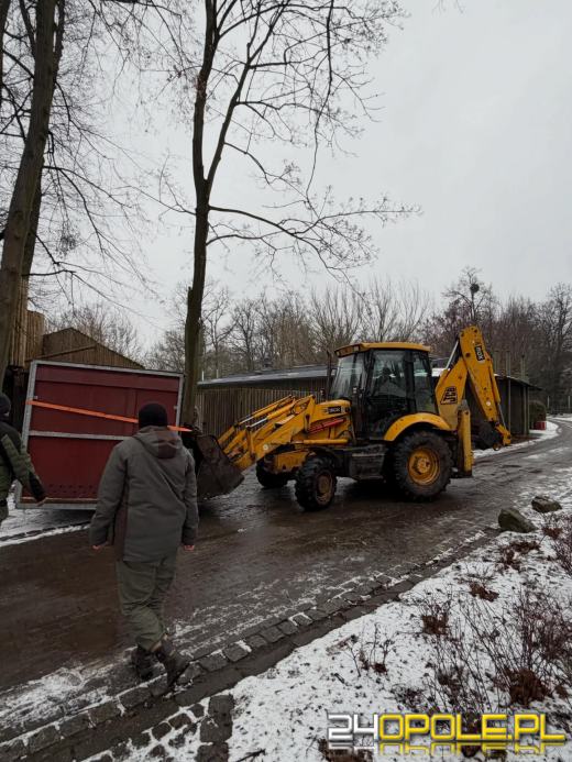 Nowa mieszkanka opolskiego zoo. To efekt wieloletnich starań
