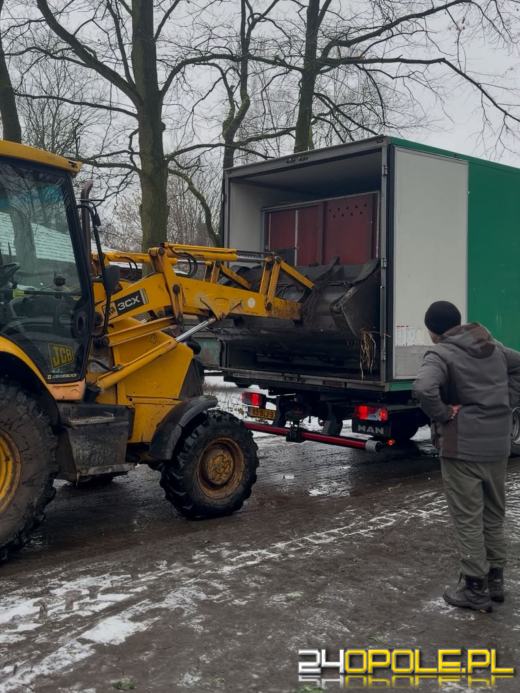 Nowa mieszkanka opolskiego zoo. To efekt wieloletnich starań