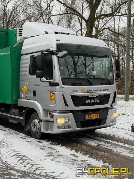 Nowa mieszkanka opolskiego zoo. To efekt wieloletnich starań