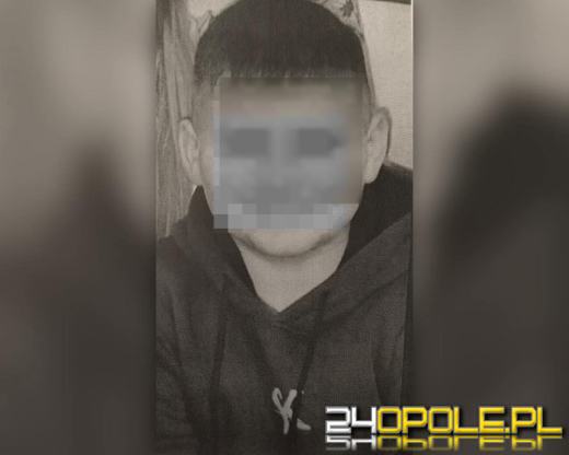 Służby zatrzymały 11-latka na granicy. Podejrzenie uprowadzenia rodzicielskiego