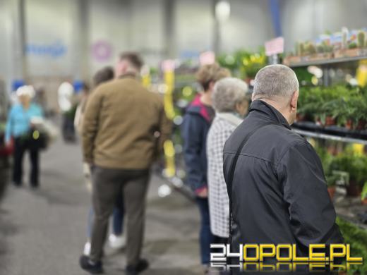 Festiwal Roślin ponownie w Opolu. Dwudniowe wydarzenie w Toyota Park