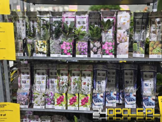 Festiwal Roślin ponownie w Opolu. Dwudniowe wydarzenie w Toyota Park