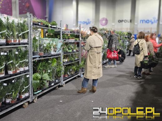Festiwal Roślin ponownie w Opolu. Dwudniowe wydarzenie w Toyota Park