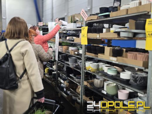 Festiwal Roślin ponownie w Opolu. Dwudniowe wydarzenie w Toyota Park