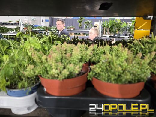 Festiwal Roślin ponownie w Opolu. Dwudniowe wydarzenie w Toyota Park