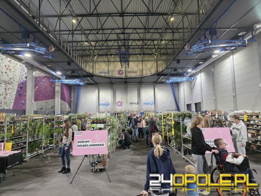 Festiwal Roślin ponownie w Opolu. Dwudniowe wydarzenie w Toyota Park