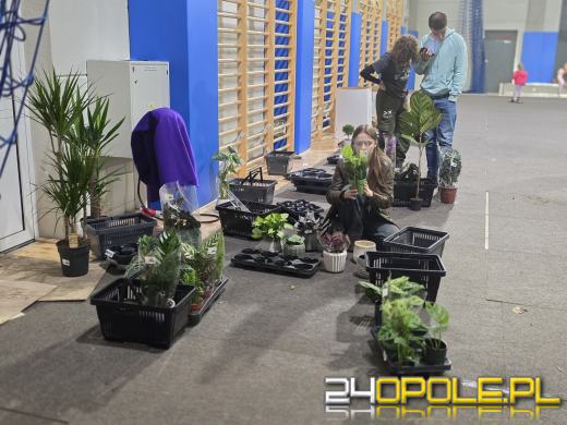 Festiwal Roślin ponownie w Opolu. Dwudniowe wydarzenie w Toyota Park