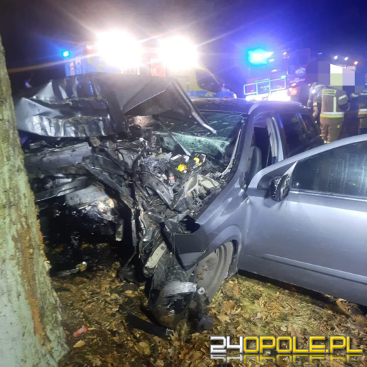 Auto uderzyło w drzewo na trasie Siemysłów - Starościn. Młody kierowca w szpitalu