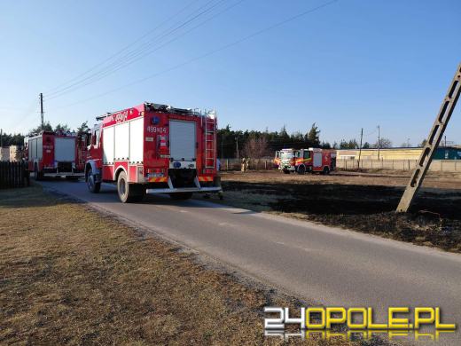 Pożar trawy w Kolonowskiem. Strażacy przypominają: wypalanie jest nielegalne