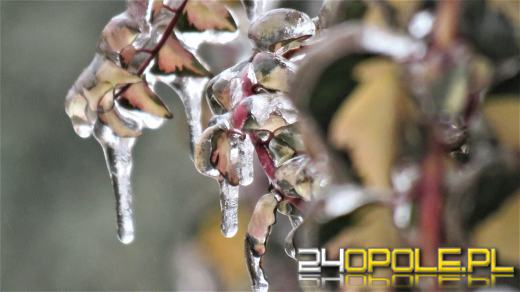 Nadchodzi zmiana pogody. Po wiosennym początku marca możliwy powrót zimy