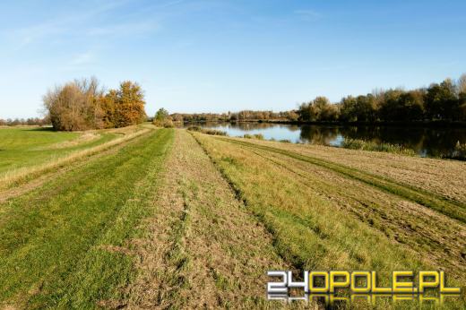 Rusza drugi etap przebudowy polderu Żelazna w Opolu